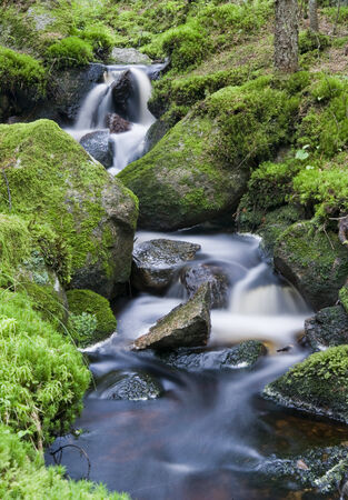 Waterfall in the forestの写真素材