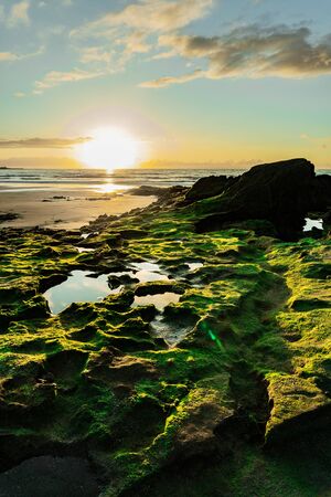 With High tide most of this reef is covered by water but when its low tide it is spectacular to seeの写真素材