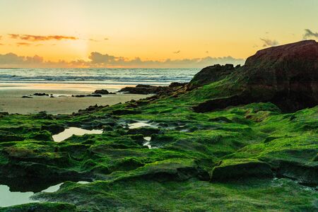 With High tide most of this reef is covered by water but when its low tide it is spectacular to seeの写真素材