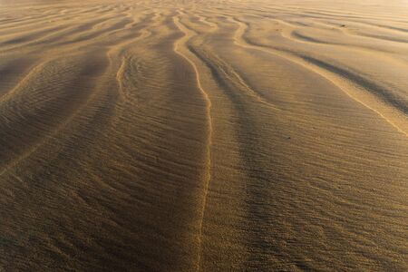 Beautiful lines in the send on the beach of El Medano in Tenerife.の写真素材