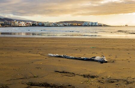 Plastic pollution is a big problem in the world. It's is not only the big plastic you see but also all the micro plastics which you will find on the beachの写真素材