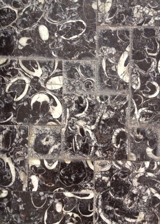 Travatine, marble, granite, decoration stone mosaicの素材