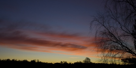 Early in the winter morning the leafless trees stare into the sunrise. A strong comparison to the colorful autumn.の写真素材