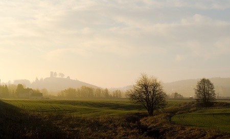 In early spring (technically winter) the fog lay low in the morning, and the city in the back is barely noticeable. The barren trees in the foreground show the season.の写真素材