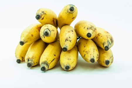 Bunch of yellow small banana fruit of kerala indiaの写真素材