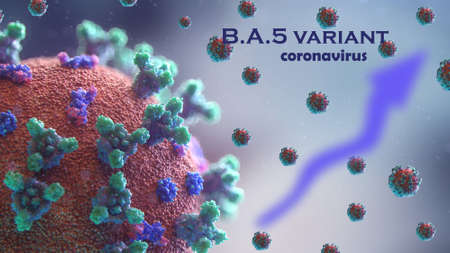 BA.5 omikron variant of the coronavirus spreads fastの写真素材