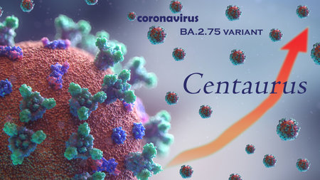Centaurus variant of the coronavirus spreads fast. BA.2.75 is subvariant of the omikron variantの写真素材