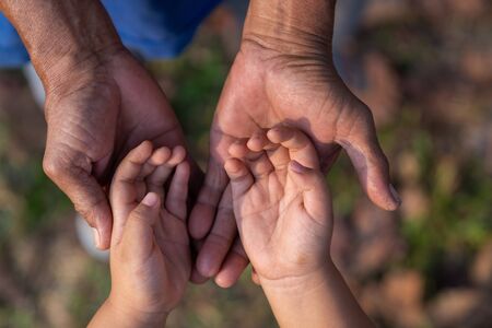 Close up top view of a parent holds the hand of a small child.の写真素材