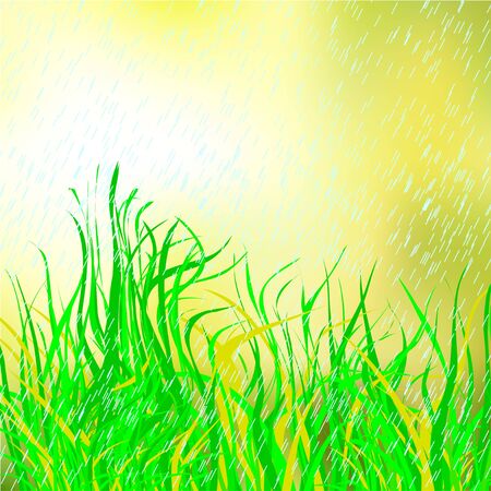 Grassのイラスト素材