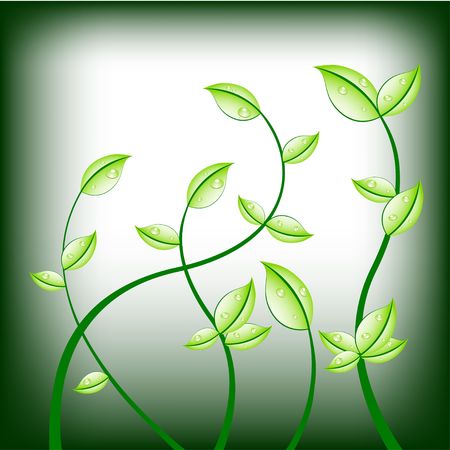 Abstract floral background のイラスト素材