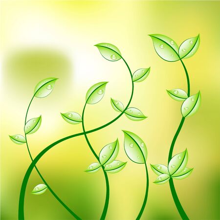 Abstract floral background のイラスト素材
