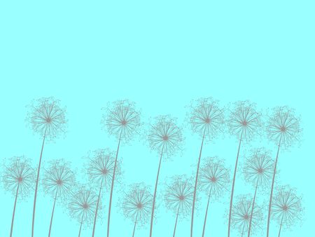 Dandelionsのイラスト素材