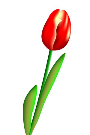 Tulips のイラスト素材