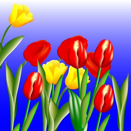 Tulips のイラスト素材