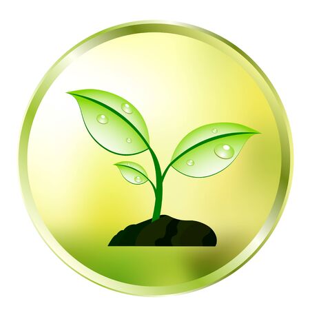 plant のイラスト素材