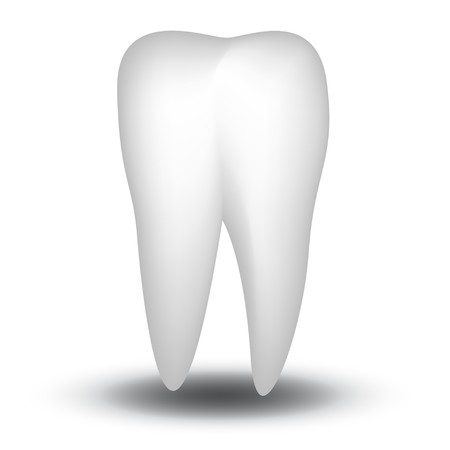 Tooth のイラスト素材