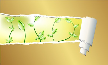 Ripped paper with petals のイラスト素材