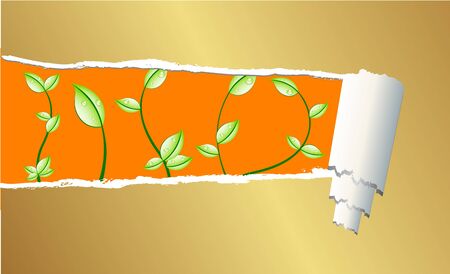 Ripped paper with petals のイラスト素材