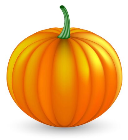   pumpkin のイラスト素材