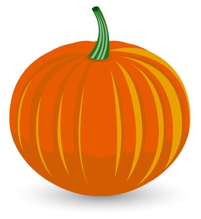 Vector pumpkin のイラスト素材
