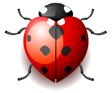 Heart shaped ladybirdのイラスト素材
