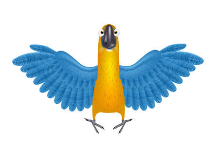 Cute macaw or parrot cartoonのイラスト素材