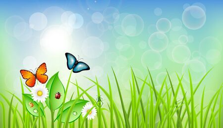 Spring Vector Background with Grassのイラスト素材