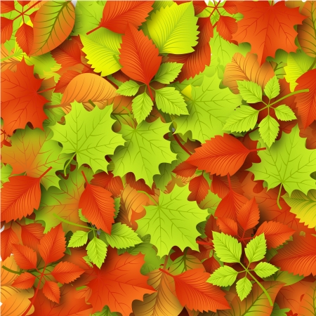 Autumn Background with Leavesのイラスト素材