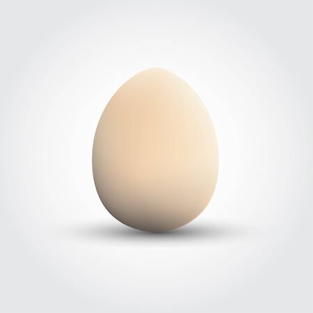 Realistic Vector Eggのイラスト素材