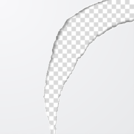 Torn Paperのイラスト素材