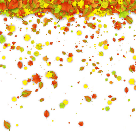 Autumn leaves isolated on a white backgroundのイラスト素材