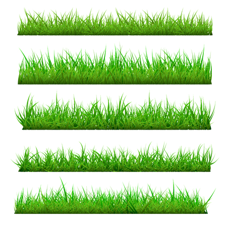 Set of Vector Spring Grassのイラスト素材
