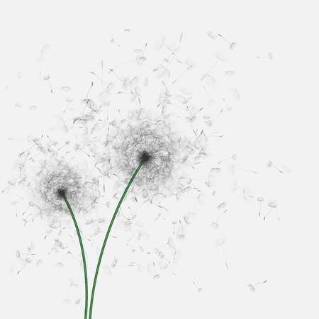 Dandelions with Flying Seedsのイラスト素材