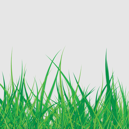 Spring Green Grassのイラスト素材