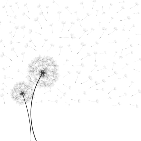 Dandelions with Flying Seedsのイラスト素材