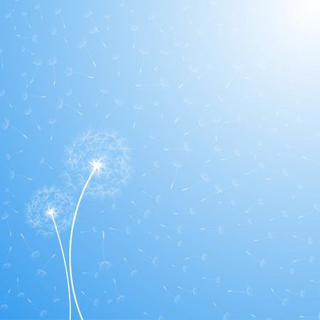 Blue Background with White Dandelionsのイラスト素材