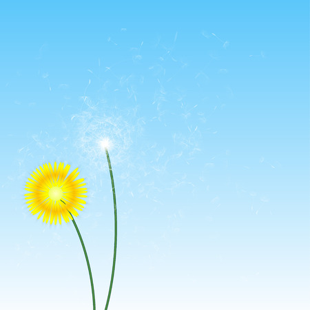 Floral Background with Dandelions on Blue Backgroundのイラスト素材