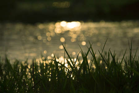 Copy space blur tropical beach with bokeh sun lightの写真素材