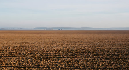 ploughed field in the light of the setting sun with tractorの素材