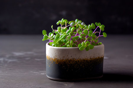 Fresh Alfalfa Microgreens in ceramic Ai generated imageの素材