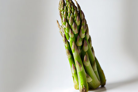 Special One natural Asparagus Ai generativeの素材