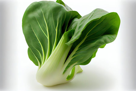 Attractive One natural Bok Choy Ai generativeの素材