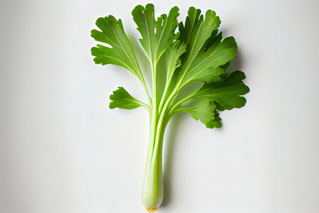 Fresh One natural Celery Ai generativeの素材