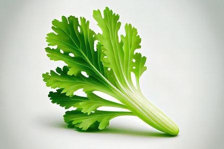Fresh One natural Celery Ai generativeの素材