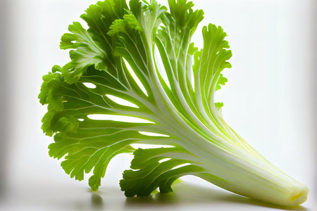 Useful One natural Celery Ai generativeの素材