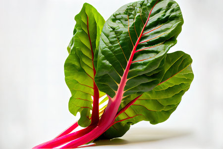 Delicious One natural Chard Ai generativeの素材