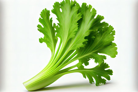 Fresh One natural Celery Ai generativeの素材