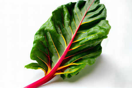 Delicious One natural Chard Ai generativeの素材