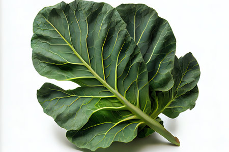 Special One natural Collard Greens Ai generativeの素材