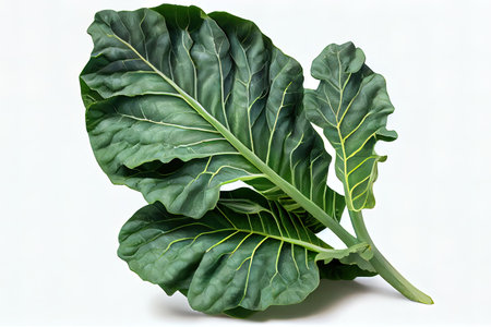 Special One natural Collard Greens Ai generativeの素材